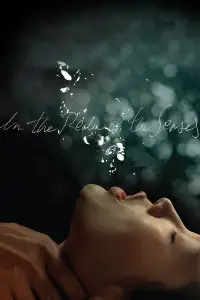 Poster to the movie "In the Realm of the Senses" #645215