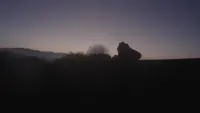 Backdrop to the movie "Voice of the Forest" #785735