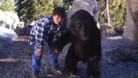Backdrop to the movie "Little Bigfoot 2: The Journey Home" #875336