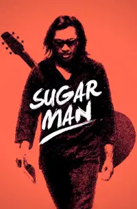Poster to the movie "Searching for Sugar Man" #1172267