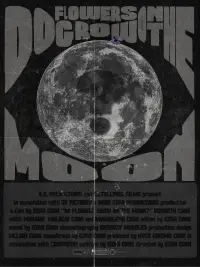 Poster to the movie "Do Flowers Grow on the Moon?" #464431