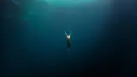 Backdrop to the movie "Dolphin Man" #824783