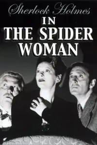 Poster to the movie "The Spider Woman" #962708