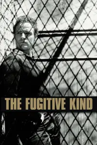 Poster to the movie "The Fugitive Kind" #1141794