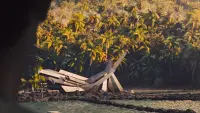 Backdrop to the movie "The Hunger Games: Catching Fire" #775819