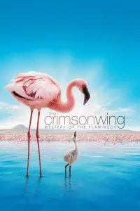 Poster to the movie "The Crimson Wing: Mystery of the Flamingos" #964451