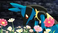 Backdrop to the movie "Pokémon: Lucario and the Mystery of Mew" #676264