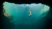 Backdrop to the movie "Dolphin Man" #824780