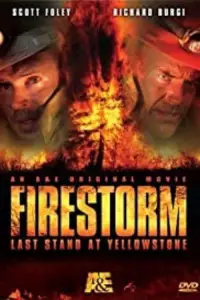 Poster to the movie "Firestorm: Last Stand at Yellowstone" #964690