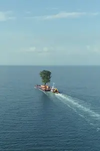 Poster to the movie "Taming the Garden" #1014595