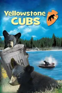Poster to the movie "Yellowstone Cubs" #990549