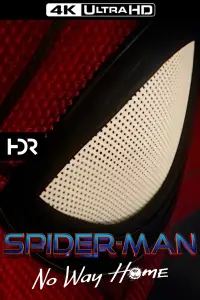 Poster to the movie "Spider-Man: No Way Home" #905805