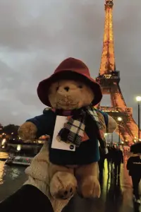 Poster to the movie "Paddington 2" #1062607