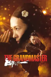 Poster to the movie "The Grandmaster" #531982
