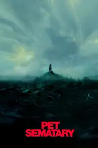 Poster to the movie "Pet Sematary" #944284