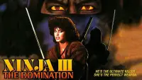 Backdrop to the movie "Ninja III: The Domination" #1028344