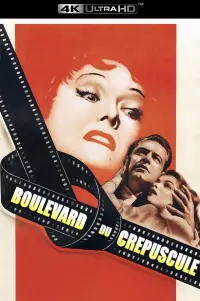 Poster to the movie "Sunset Boulevard" #883221