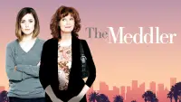 Backdrop to the movie "The Meddler" #1093348