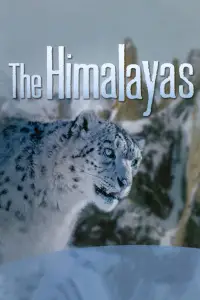 Poster to the movie "The Himalayas" #1170103