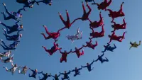 Backdrop to the movie "Drop Zone" #793304