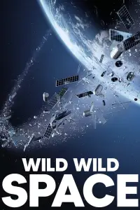 Poster to the movie "Wild Wild Space" #944555