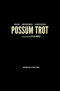 Poster to the movie "Sound of Hope: The Story of Possum Trot" #1040180