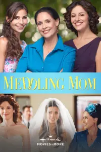 Poster to the movie "Meddling Mom" #1045834
