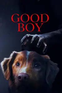 Poster to the movie "Good Boy" #1003485