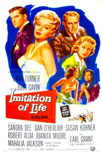 Poster to the movie "Imitation of Life" #1042035