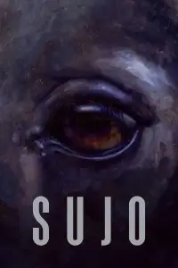 Poster to the movie "Sujo" #740489