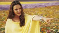 Backdrop to the movie "Veer-Zaara" #860709