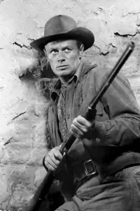 Poster to the movie "Backlash" #1042350