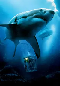 Poster to the movie "47 Meters Down" #691504