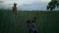 Backdrop to the movie "Badlands" #744930
