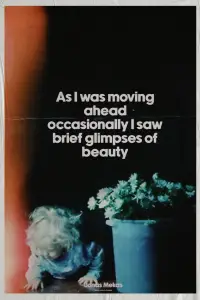 Poster to the movie "As I Was Moving Ahead, Occasionally I Saw Brief Glimpses of Beauty" #993346