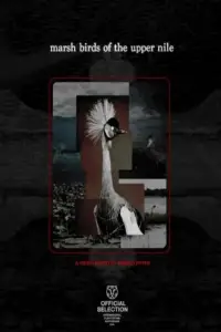 Marsh Birds of the Upper Nile