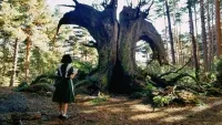 Backdrop to the movie "Pan