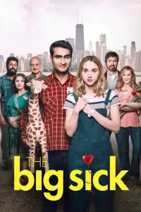 Poster to the movie "The Big Sick" #982775