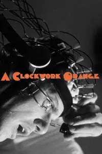 Poster to the movie "A Clockwork Orange" #855406