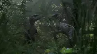Backdrop to the movie "Jurassic Park III" #740395