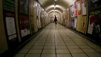 Backdrop to the movie "An American Werewolf in London" #806617