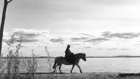 Backdrop to the movie "The Virgin Spring" #561331