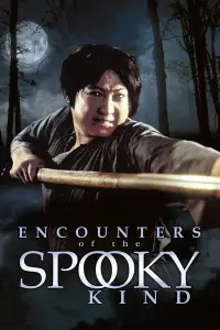 Poster to the movie "Encounter of the Spooky Kind" #978950