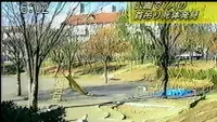 Backdrop to the movie "Noroi: The Curse" #835492