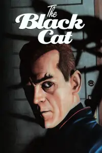 Poster to the movie "The Black Cat" #979709