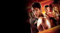 Backdrop to the movie "Never Back Down" #1028403