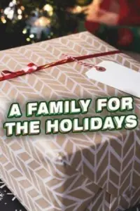 Poster to the movie "A Family for the Holidays" #1154328