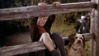 Backdrop to the movie "National Velvet" #714633