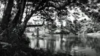 Backdrop to the movie "Phantosmia" #701451