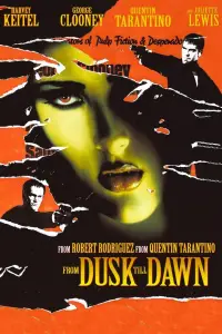Poster to the movie "From Dusk Till Dawn" #934645